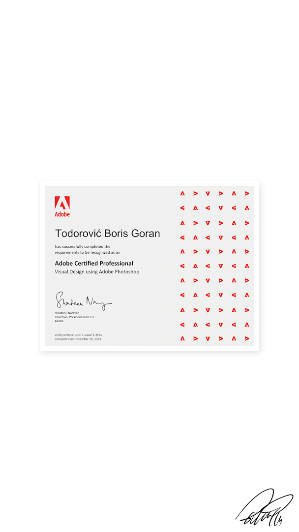 Izrada sajtova Beograd (WordPress) - Todorović Boris