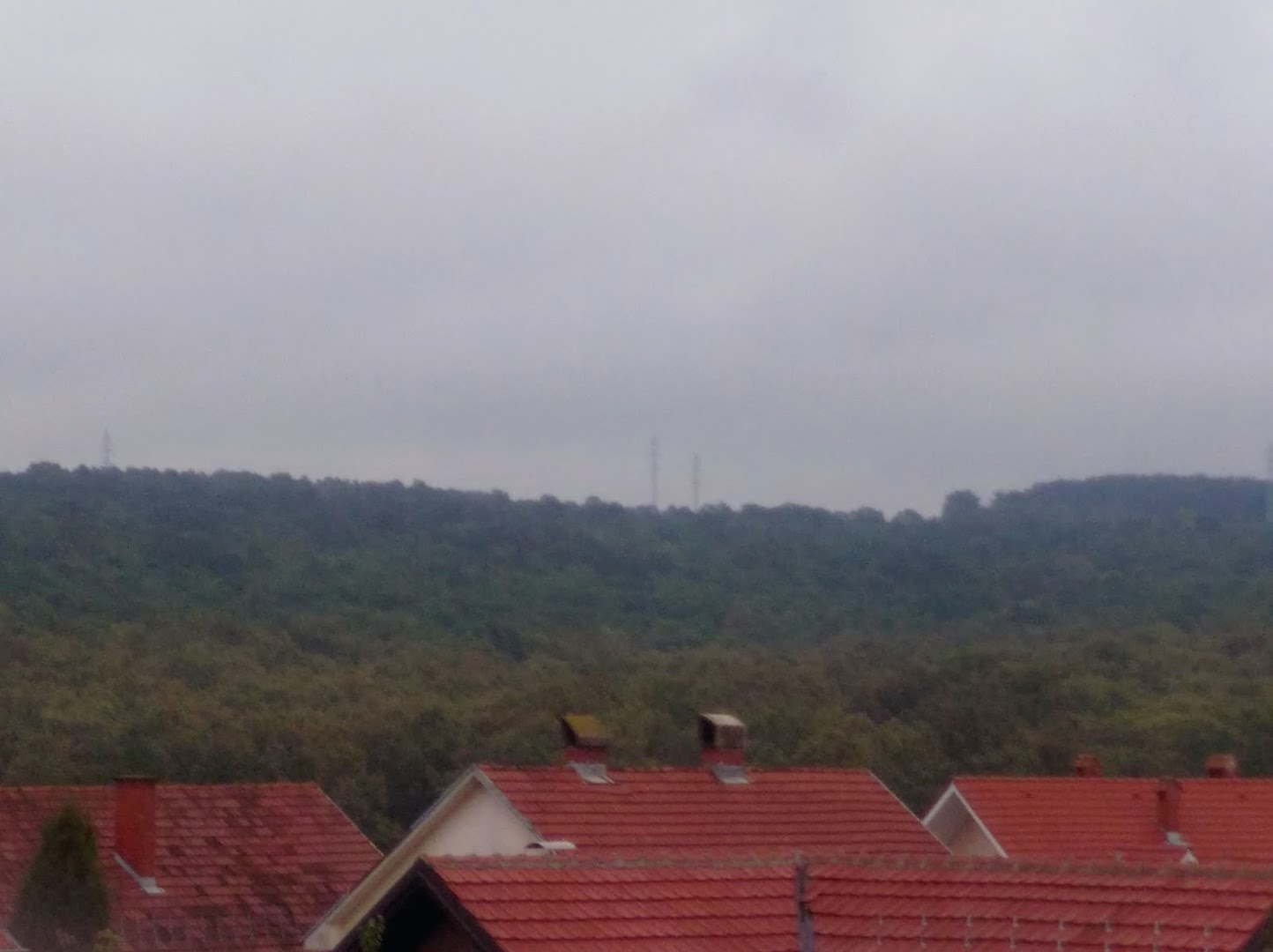 Park šuma Košutnjak