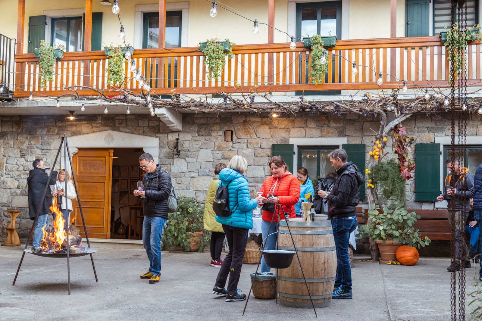 Petelin Rogelja Winery