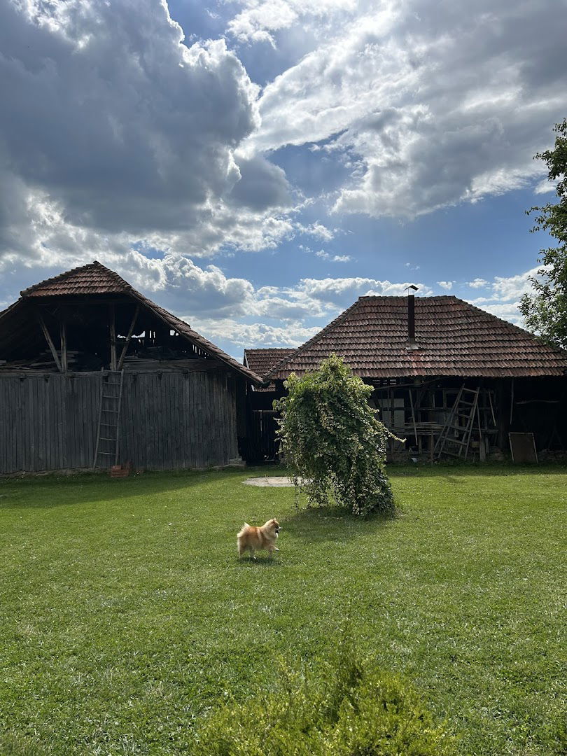 Braća Dragutinović