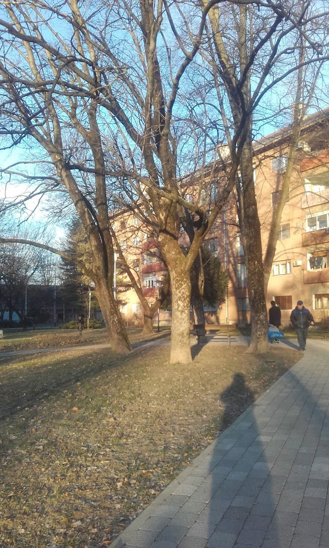 Park Ive Lole Ribara