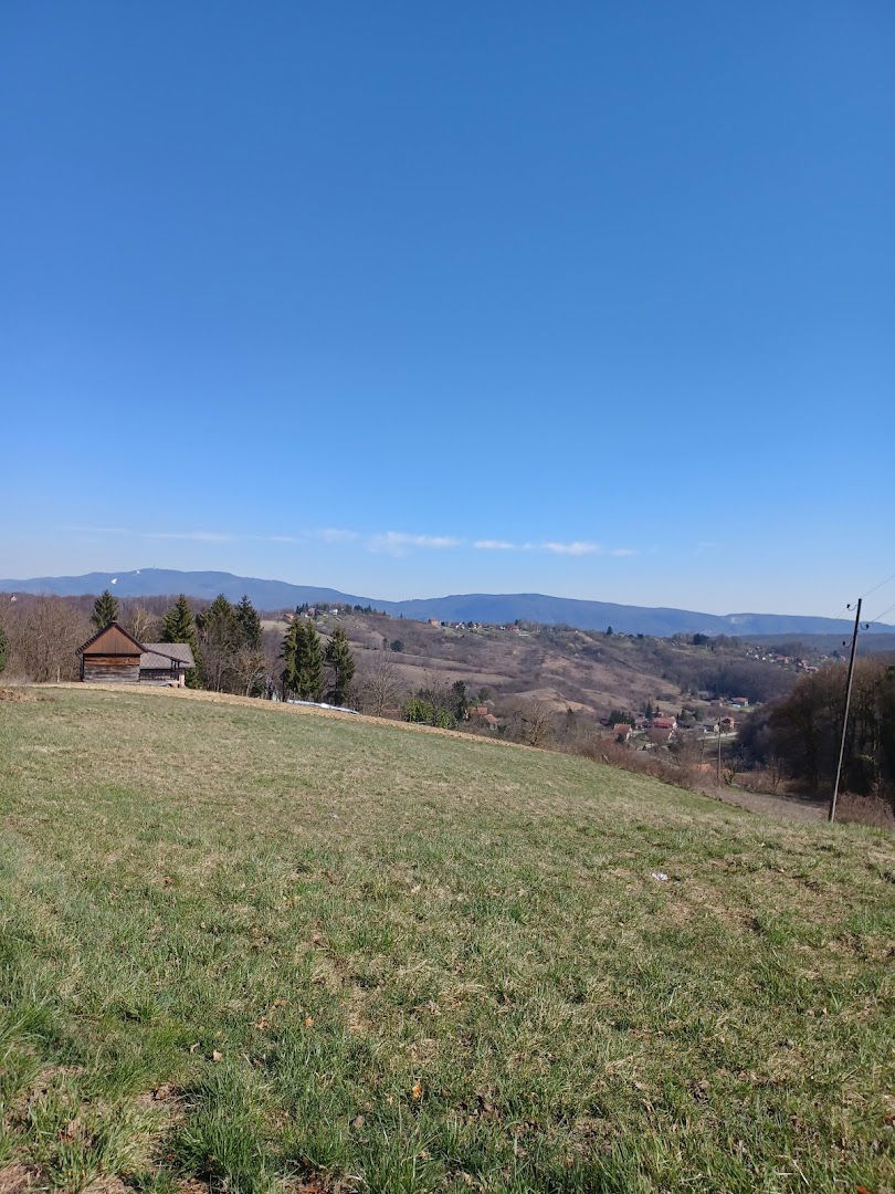 Trstenik puščanski