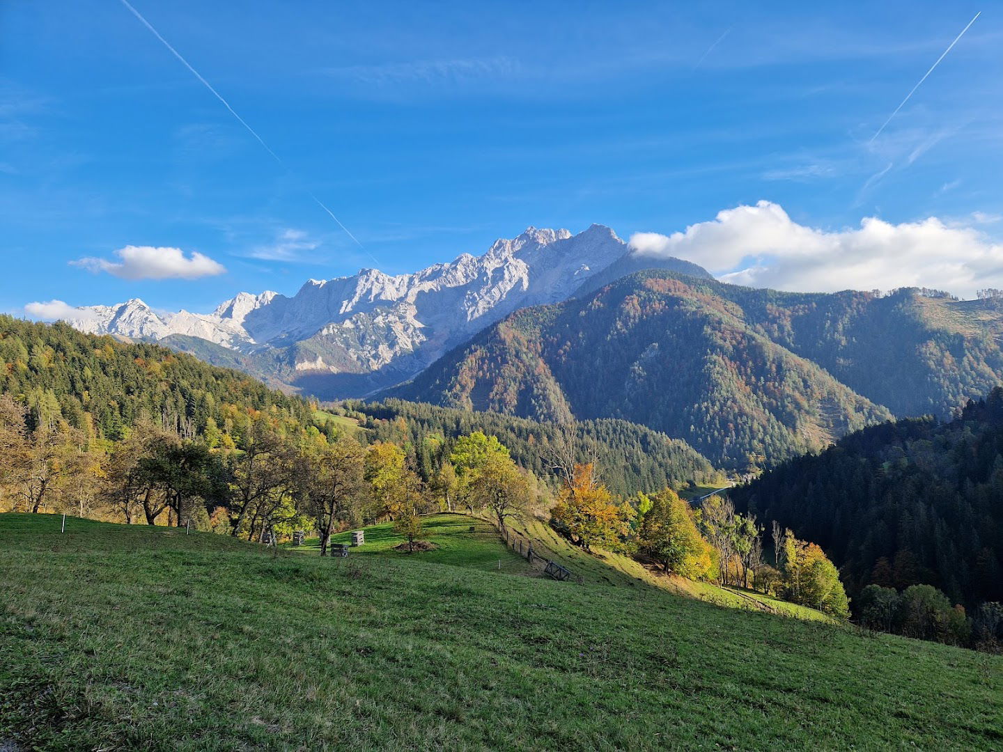 Ekološka kmetija in sirarna Pr’Vernk