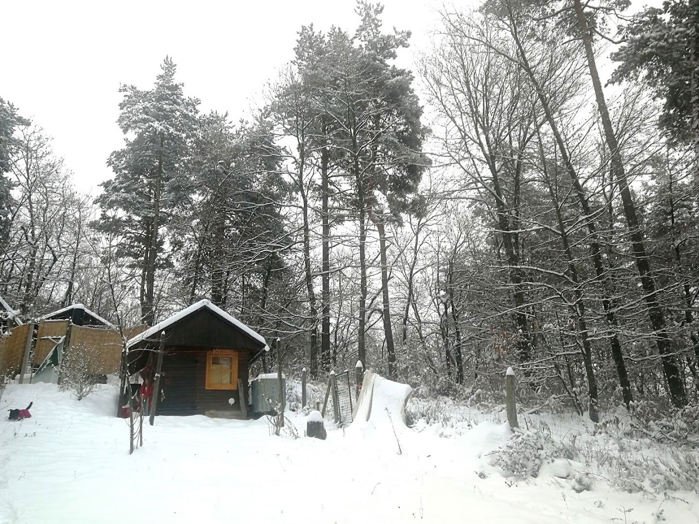 Gozdni budistični samostan Samanadipa