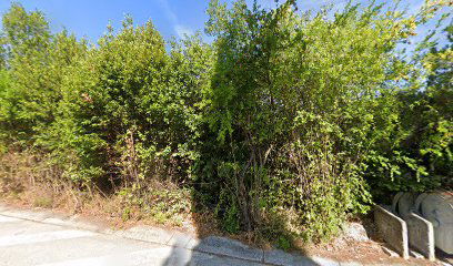 Spomenik, Domovinski rat