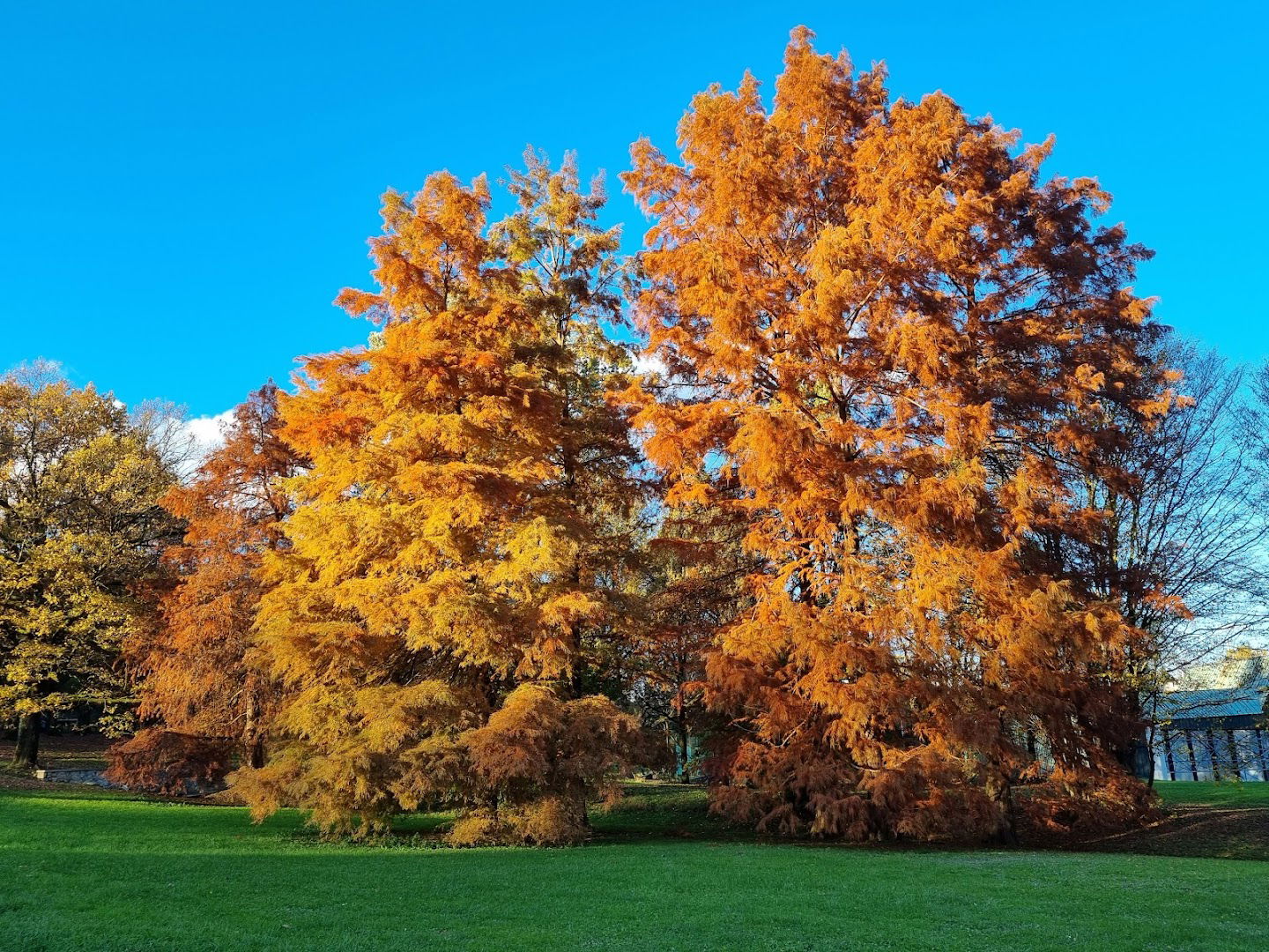 Park panorama