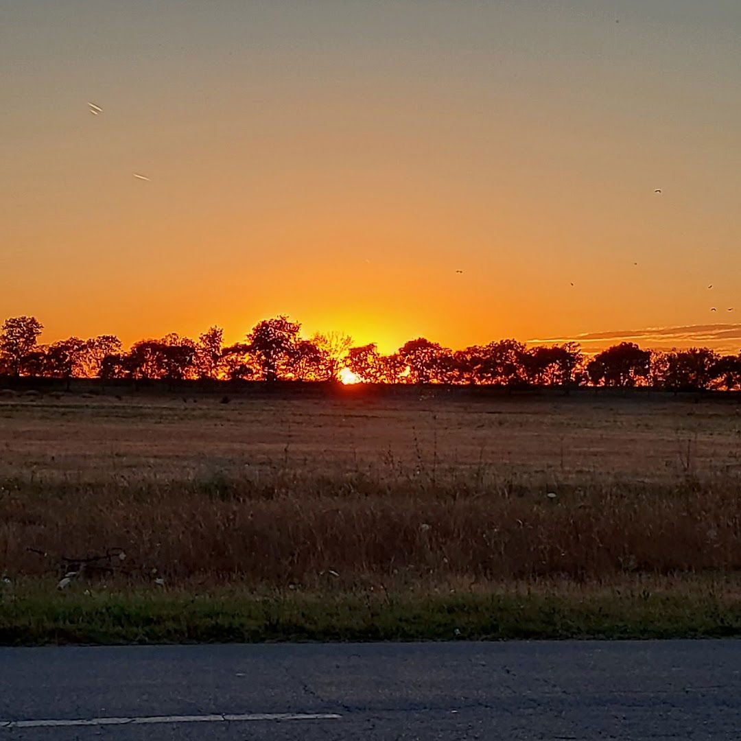 Industrial zone Bagljas-Elemir