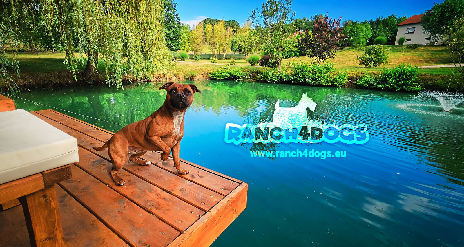 RANCH4DOGS - Hotel za pse Međimurje | Čakovec | Varaždin