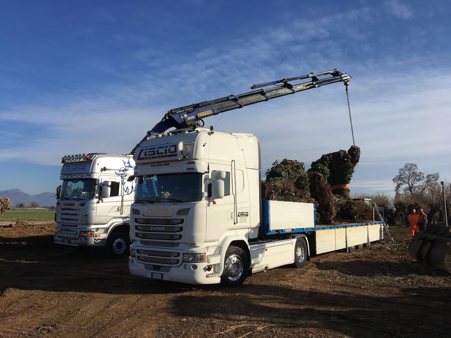 Autotrasporti F.lli Liscio di Liscio Alessandro & C.Sas