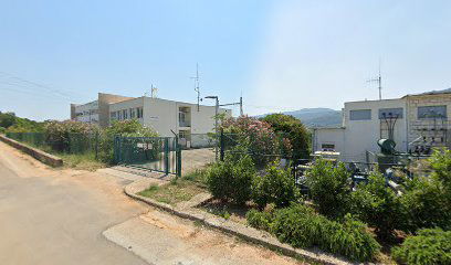 Lavender field Stari Grad - OPG Cvit iz Kamena