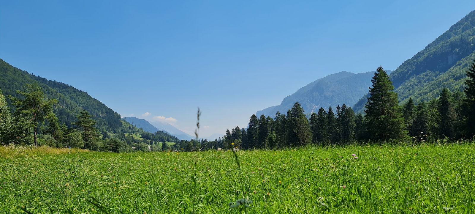 Žaga Belca - Ligna Rex, predelava lesa in toplota, d.o.o.