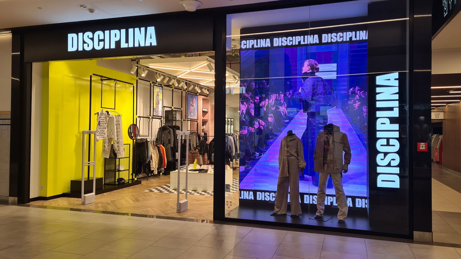 Disciplina Store