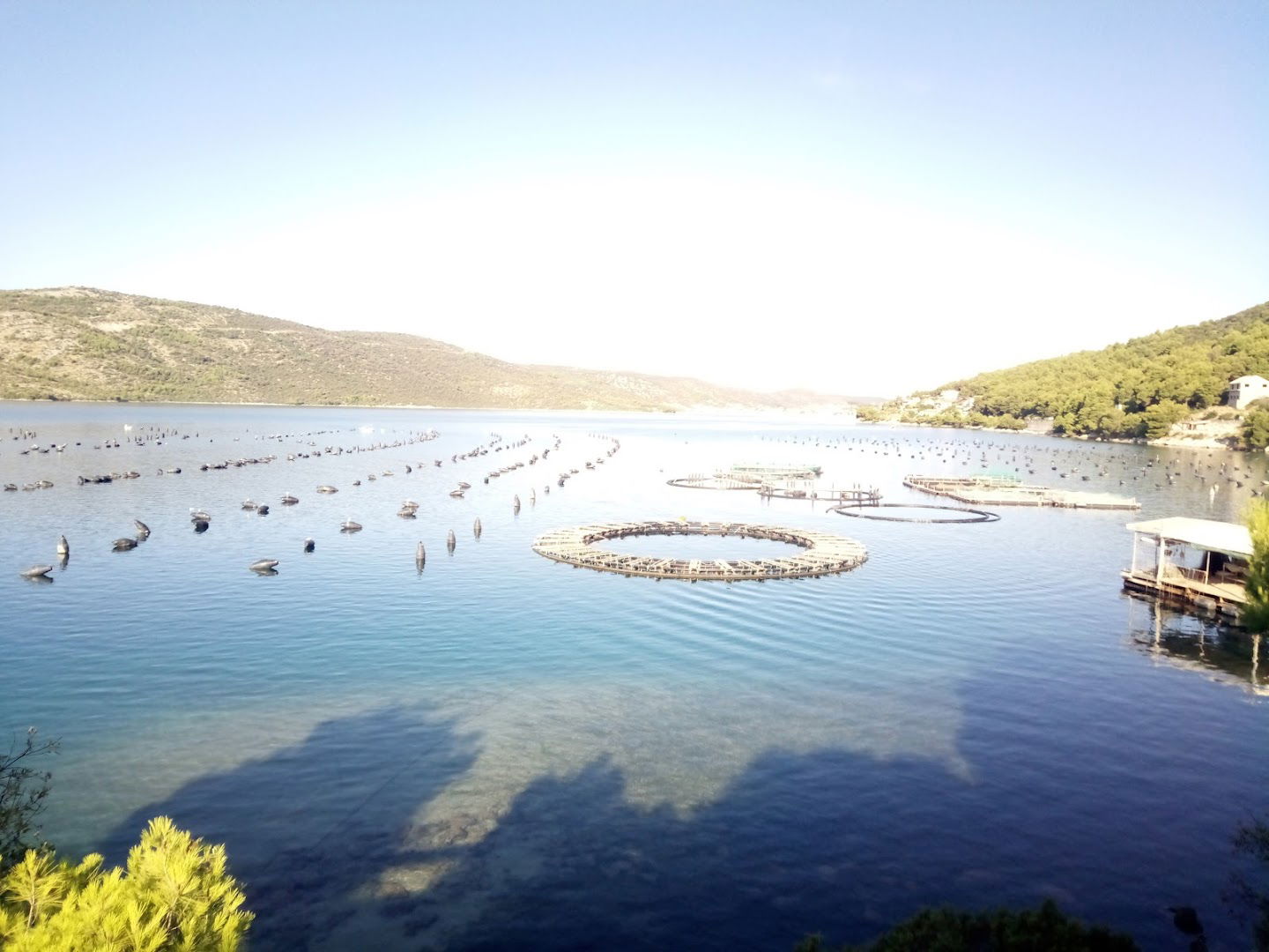 Apartmani Vraničić