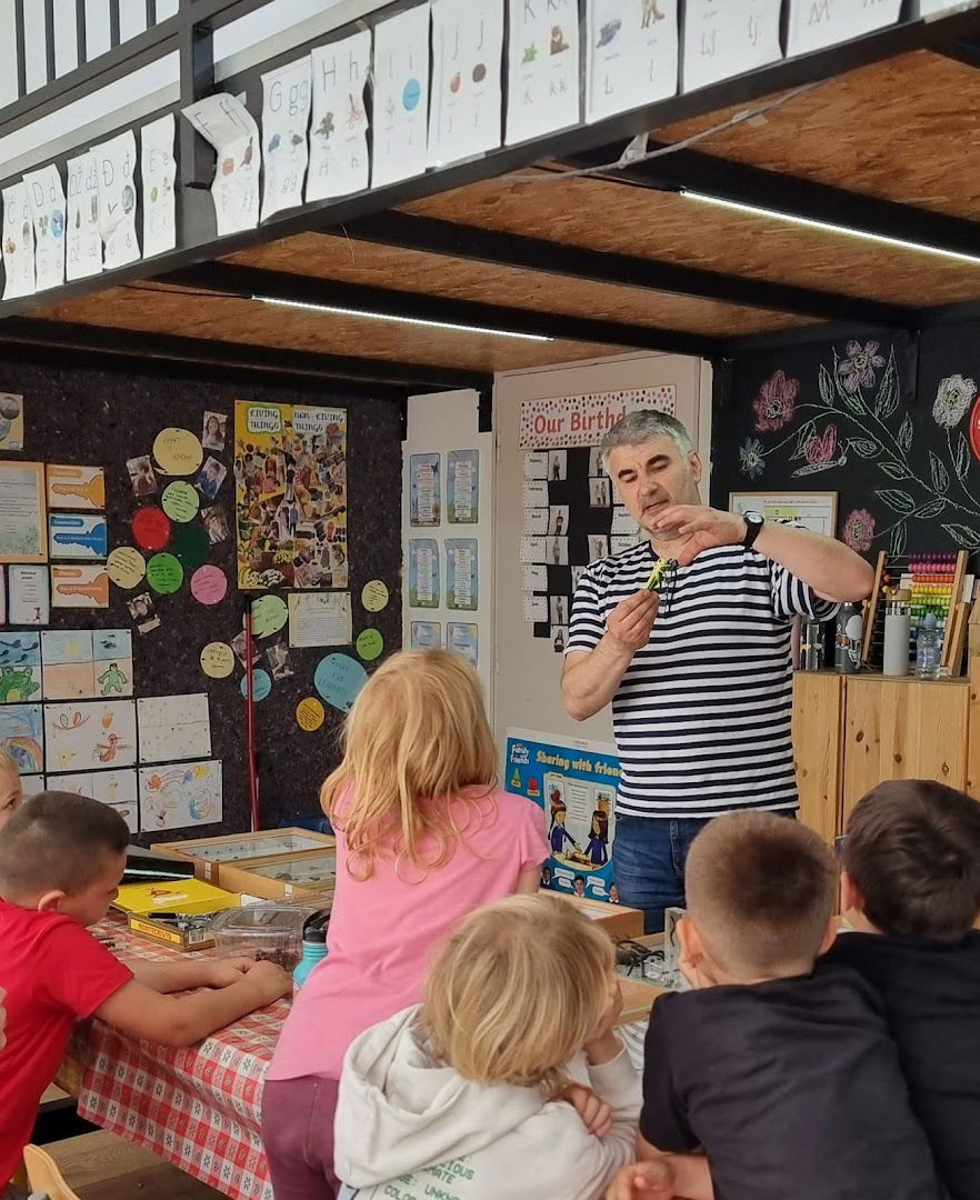 Harfa International School