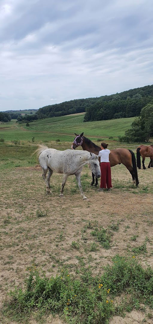 “Izvor”, Horses of Magic