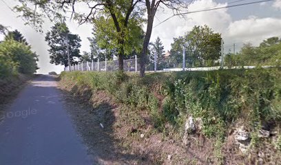 Guberevac Spasojevica