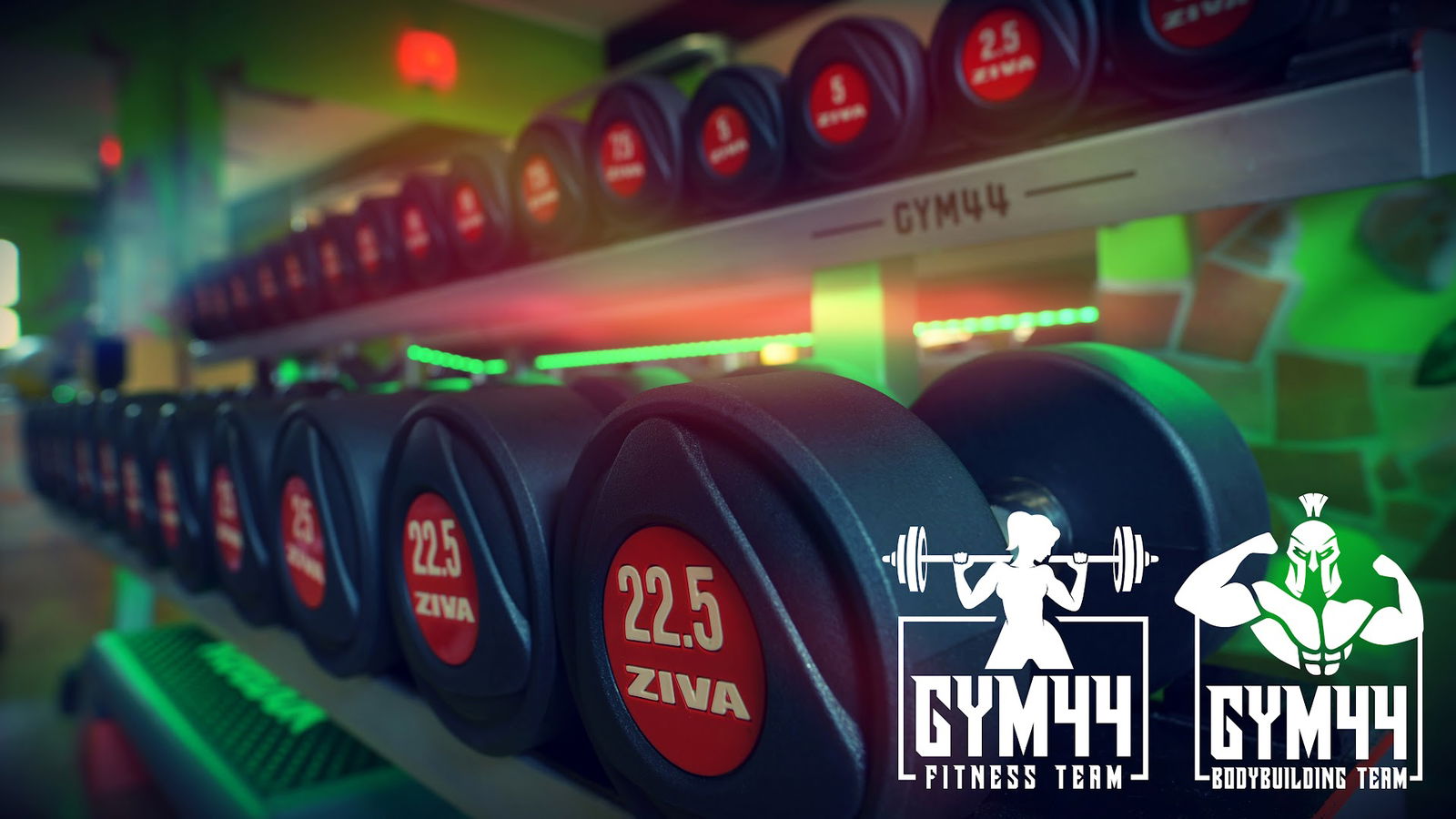 Gym 44 Veternik