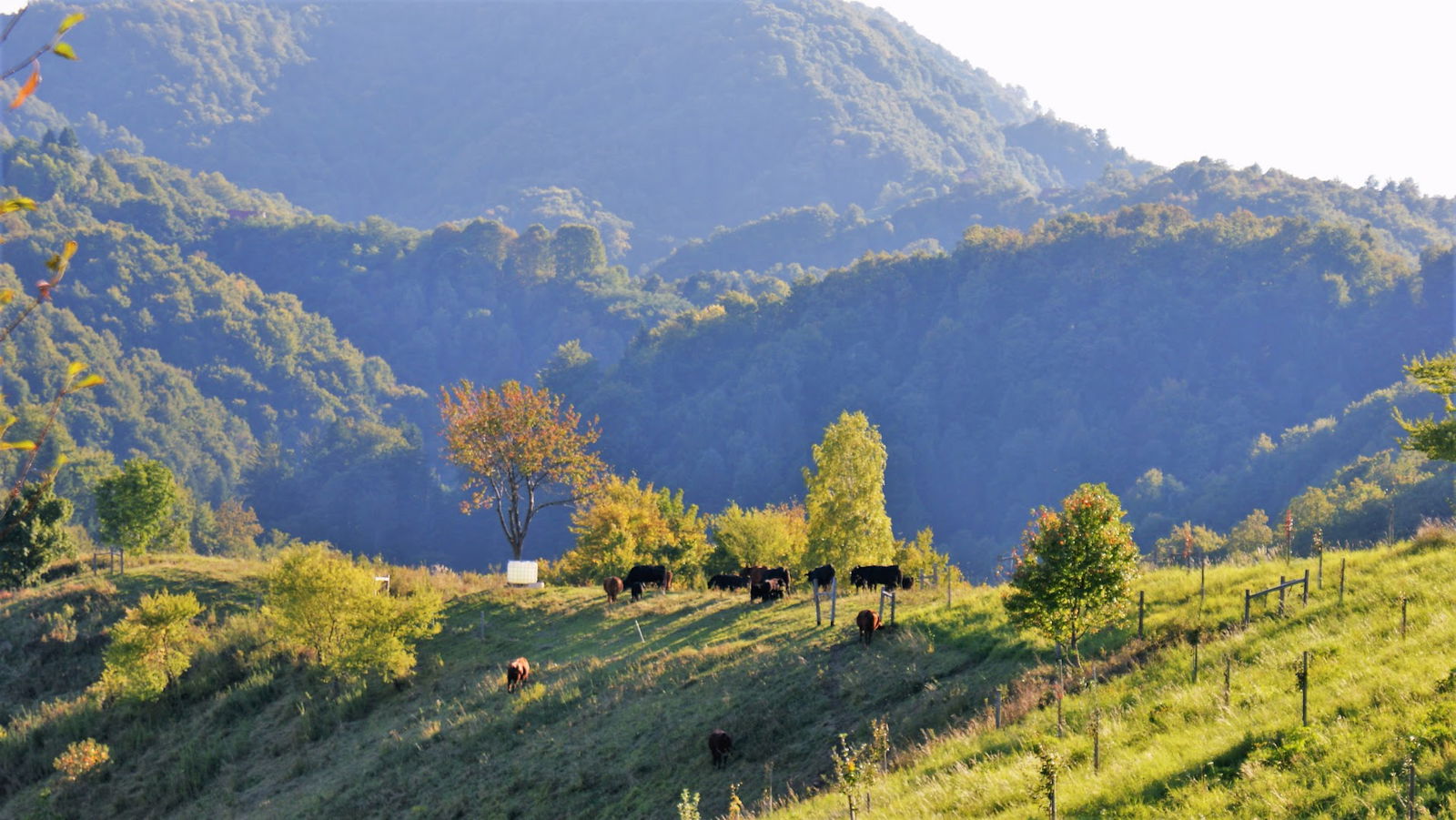 Naravni park Haloze - Čerinovo