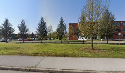 High School Tin Ujević