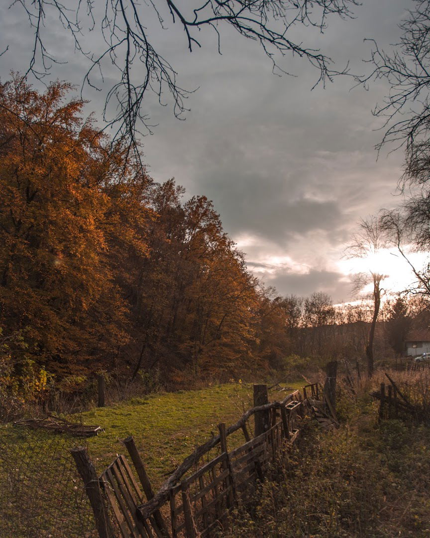 Бешеновачки Прњавор