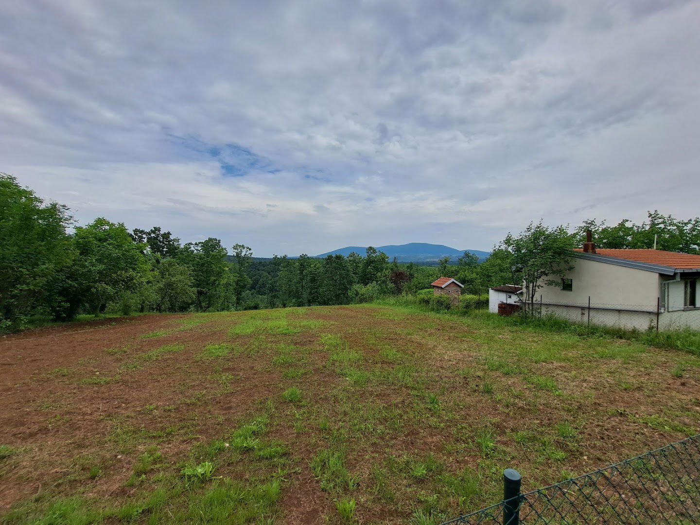 Stojnik Jelisavete Načić