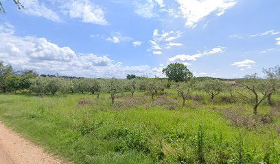 Kargo Caravan - Boat Depot