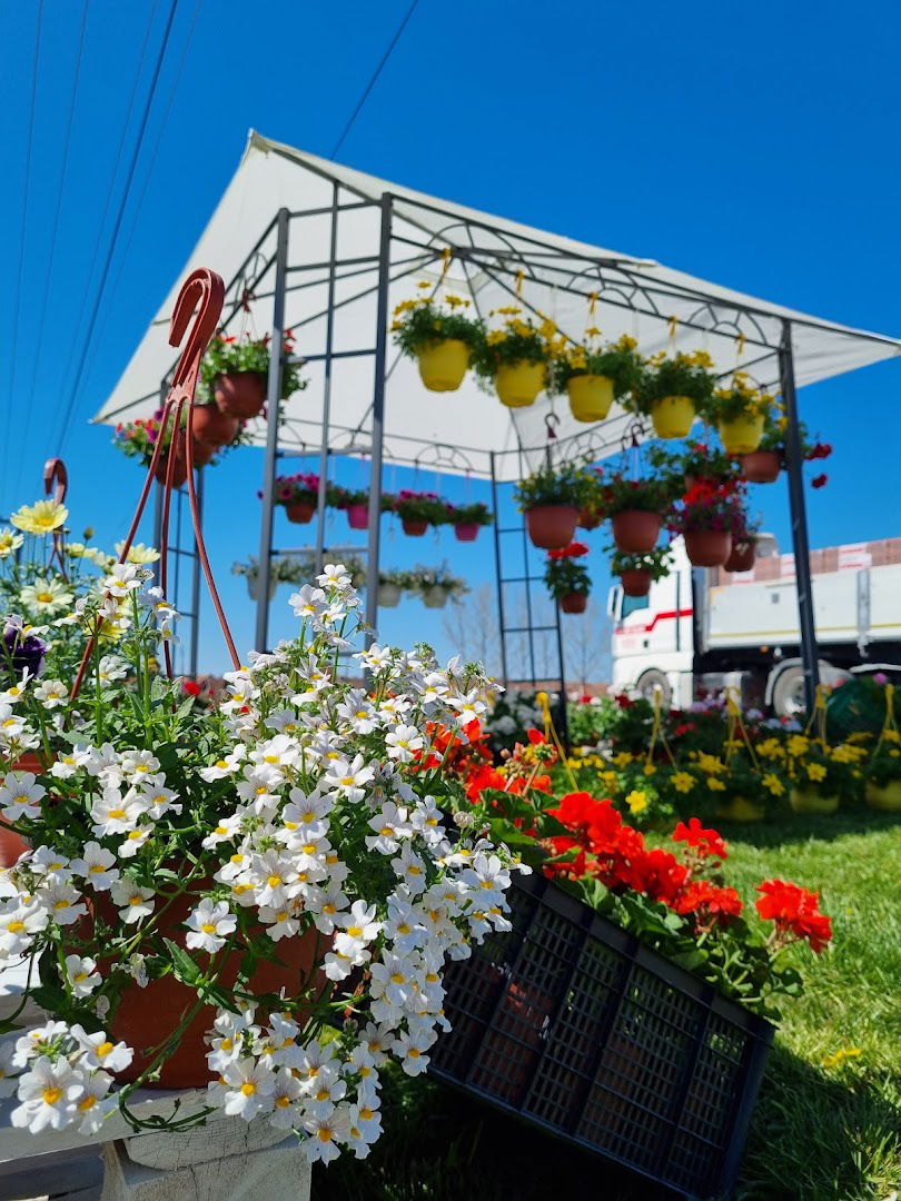 Rasadnik cveća "Danica"