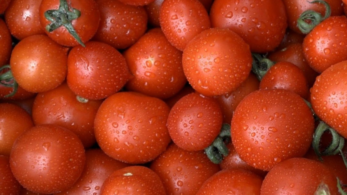 Mala farma zdrave hrane porodice Momčilov