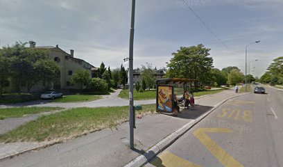 Raška Dimitrijevića