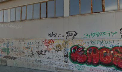 Mala Sportska dvorana