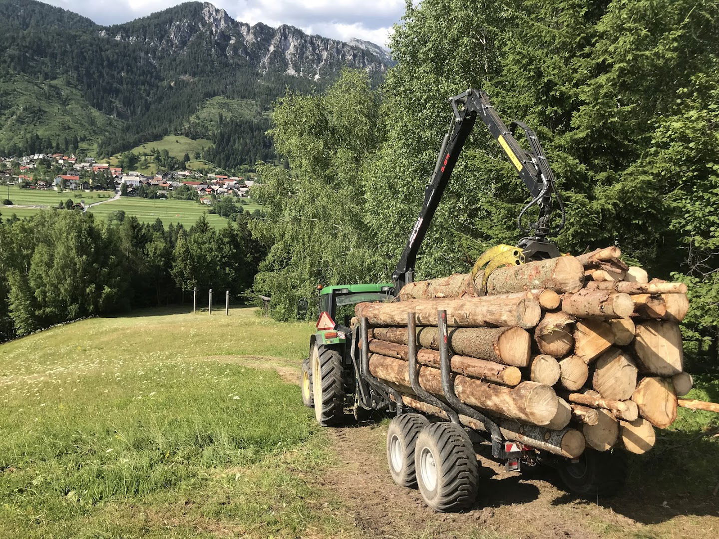 Gozdarske in ostale storitve Fojkar, Žan Fojkar s.p.