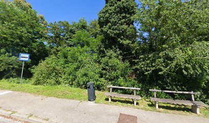 Predsjednički dvori