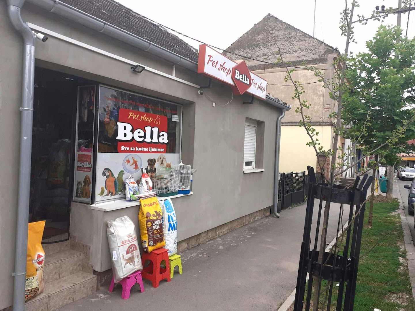 Pet Shop - BELLA