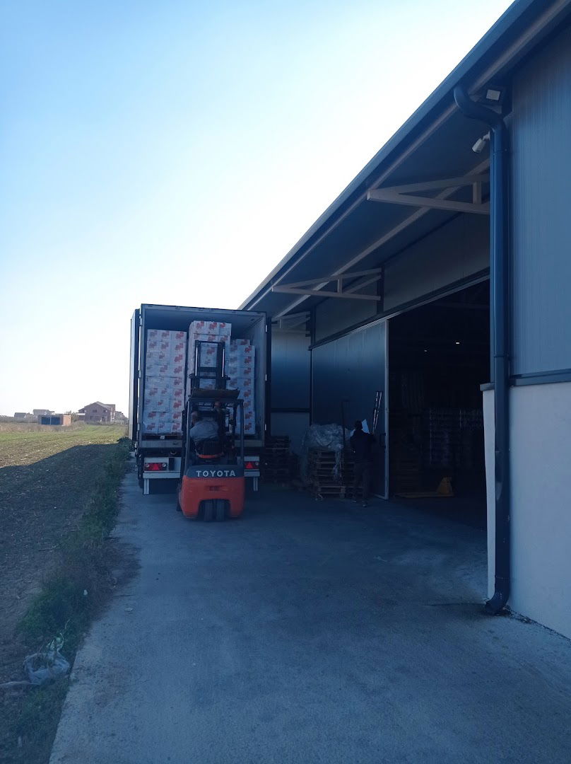 Strong Distribution D.o.o D.C Beograd