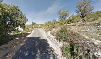 DIVOJEVIĆI GRGUREVIĆI 1