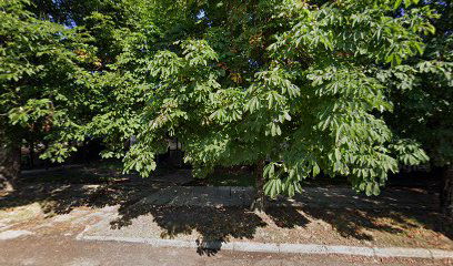 ODRED IZVIĐAČA "SIRIUS" III. Družina "POZOJ" Čakovec