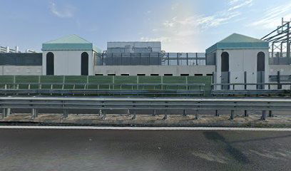 Kornetic the Lizalic store