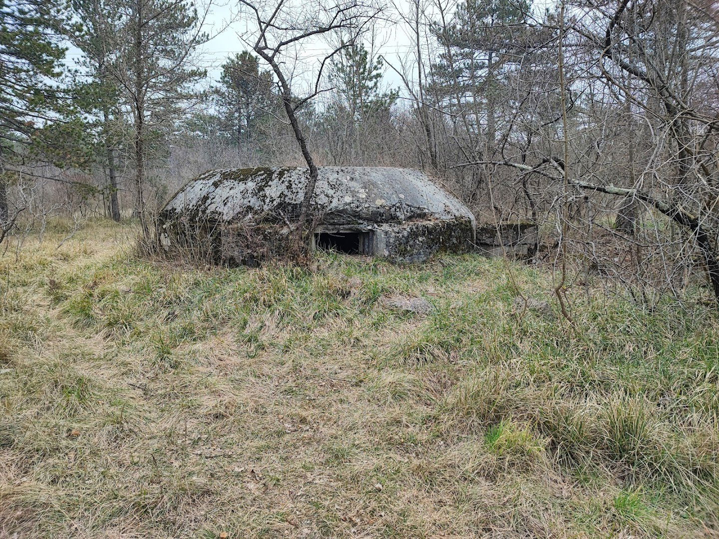 Bunker Villa Opicina