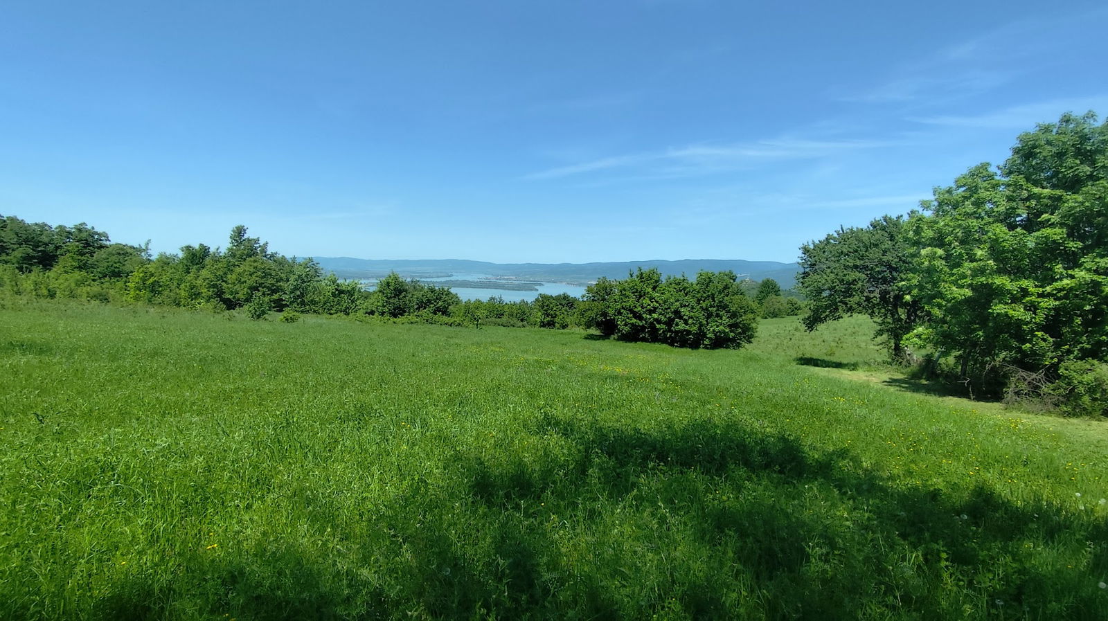 Обзорная плошадка