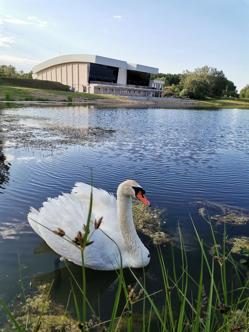 Градски базен Ковин