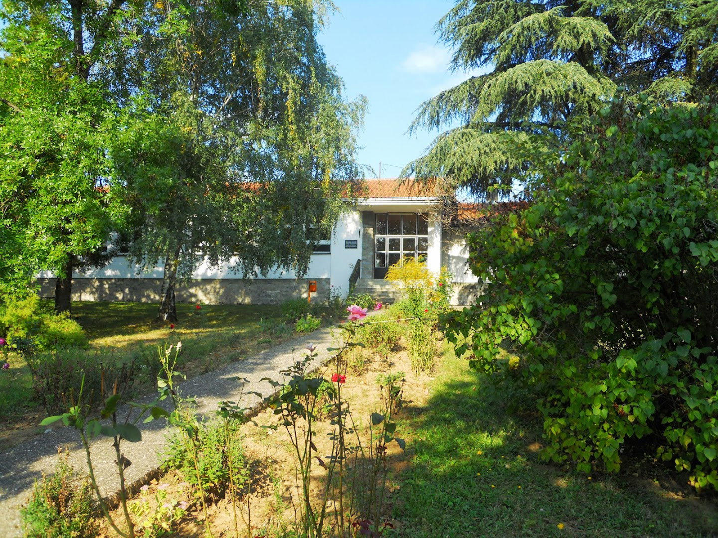 Основна школа