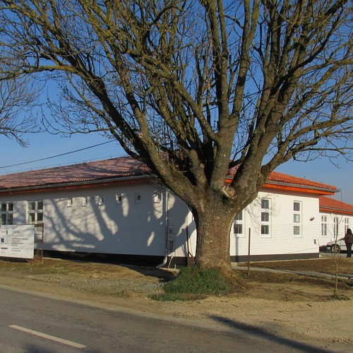 Dél-Dunántúli Társadalmi Esélyteremtési Igazgatóság Vajszlói Fejlesztési Központ TEF TEI