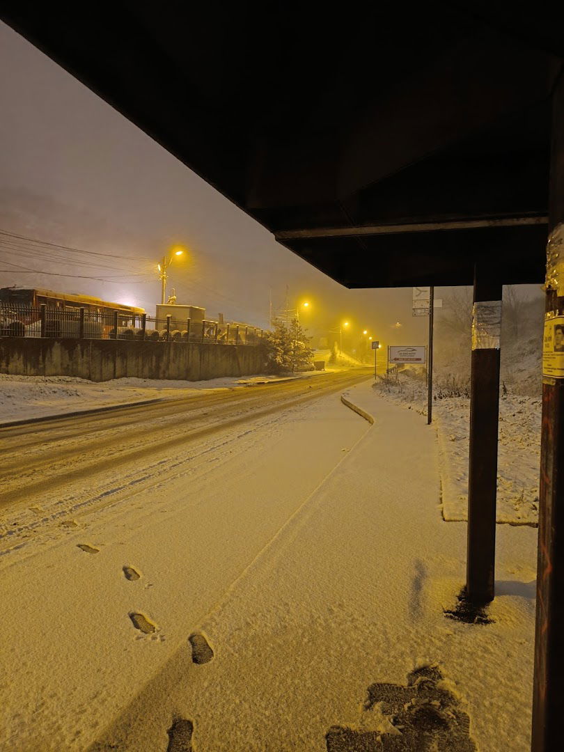 Josipa Telarevića (izlaz)