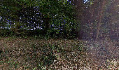 Donja Voća cemetery