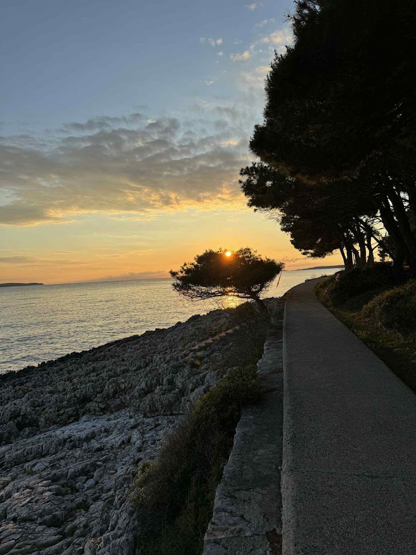 Camp cikat Dog Fun & Training