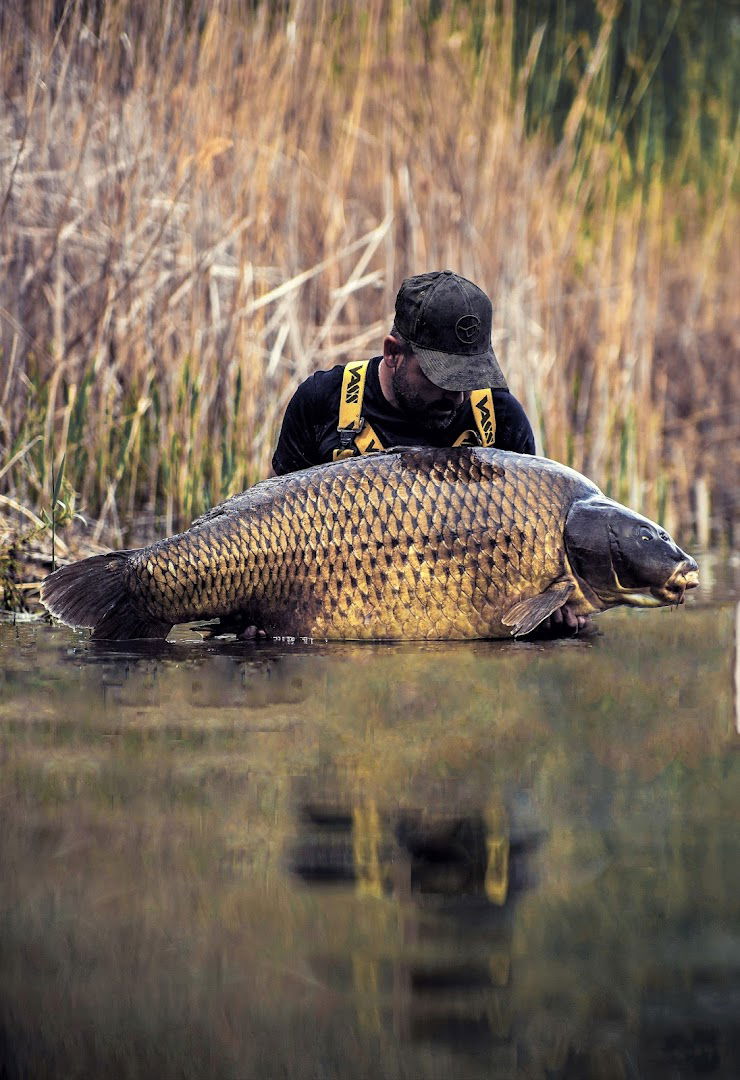 Gyékényes Nagy Ponty Horgász Halőrház