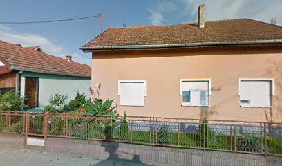 Bošnjak tepih servis