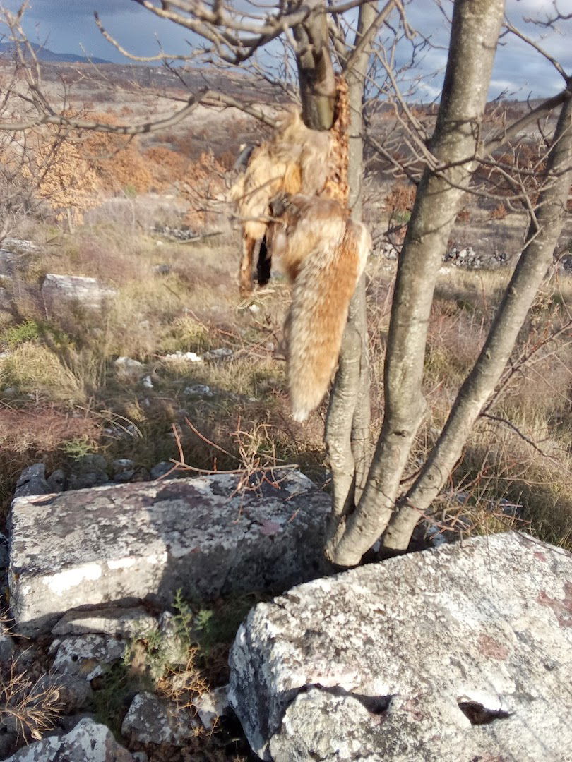 Nekropola stećaka GRADINA