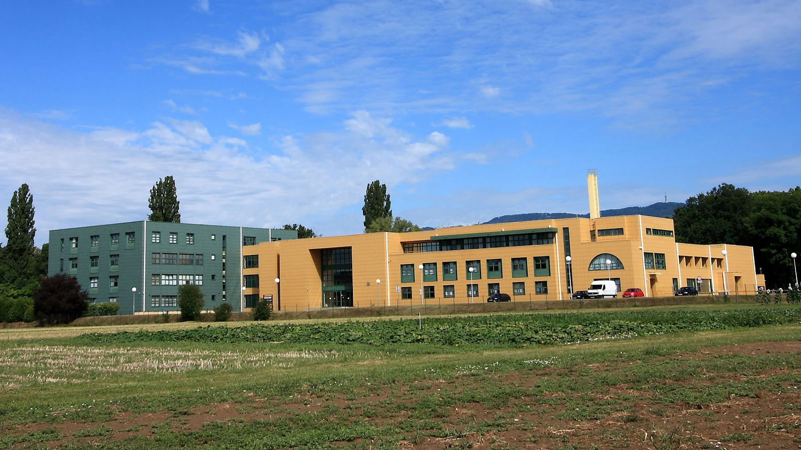 Faculty of Forestry and Wood Technology, Department of Wood Technology