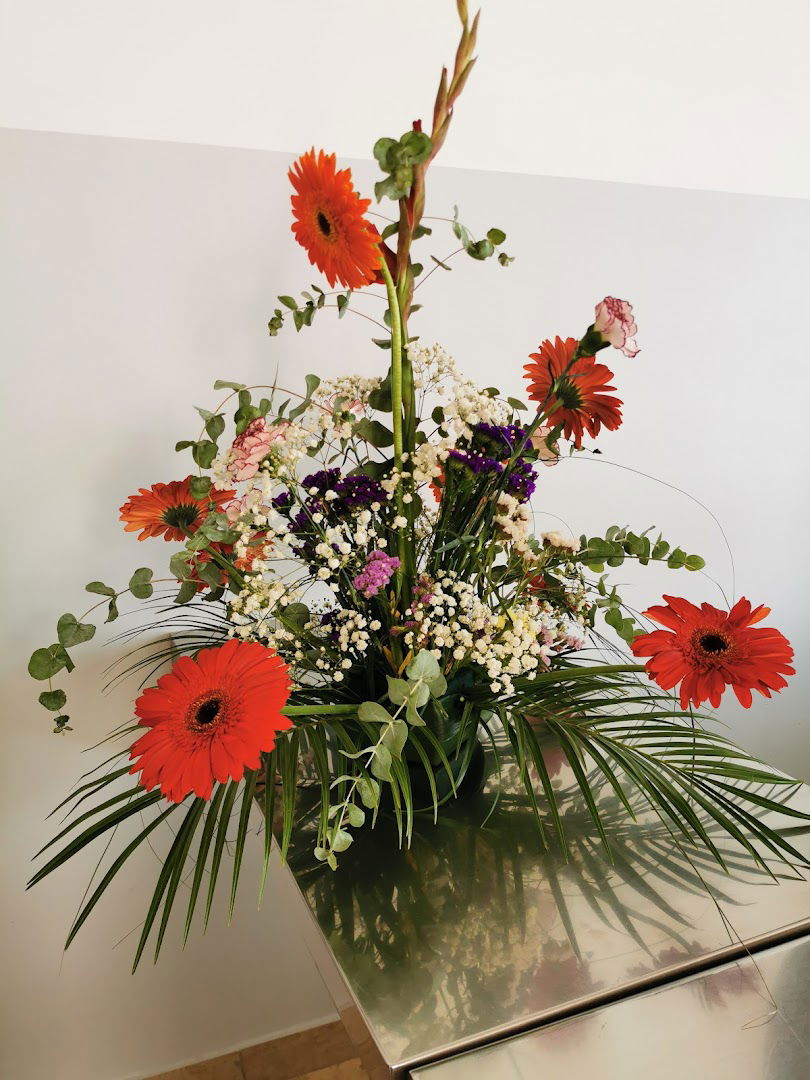 Caritas Sisačke biskupije